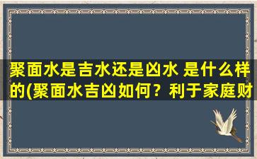 聚面水是吉水还是凶水 是什么样的(聚面水吉凶如何？利于家庭财运、教育运还是婚姻运？)